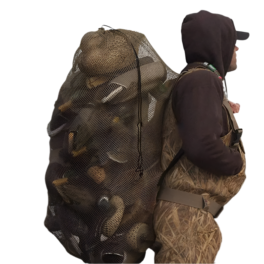 S549dd7b55e2e449f9637b432143af9648