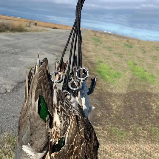 S71b6e01b472e419e90a7dcda3b8f653b5