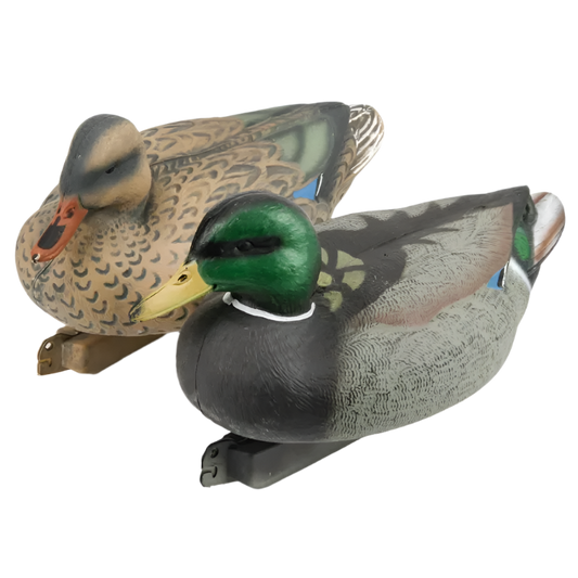 S7e2e49171e4d457abcfc60e8bcdc21e0p